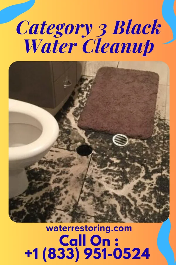 Category 3 Black Water Cleanup in Muldrow, OK